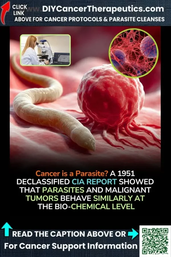 May be an image of text that says 'CLICK LINK DIYCancerTherapeutics.com ABOVE FOR CANCER PROTOCOLS & PARASITE CLEANSES Cancer is a Parasite? A 1951 DECLASSIFIED CIA REPORT SHOWED PARASITES AND MALIGNANT TUMORS BEHAVE SIMILARLY AT THE BIO-CHEMICAL LEVEL READ CAPTION ABOVE OR For Cancer Support Information'