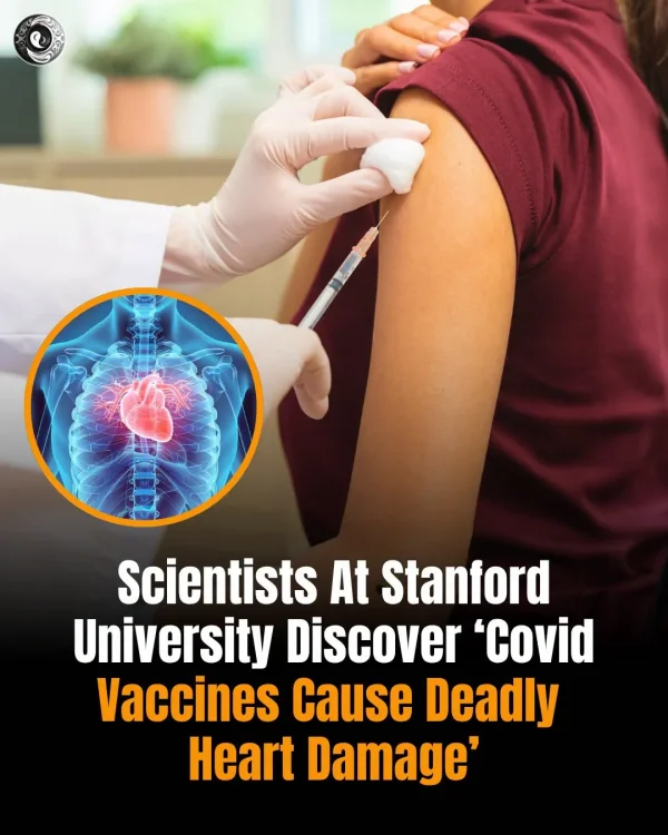 May be an image of text that says 'OE Scientists At Stanford University Discover 'Covid Vaccines Cause Deadly Heart Damage'' May be an image of text that says 'OE Scientists At Stanford University Discover 'Covid Vaccines Cause Deadly Heart Damage''