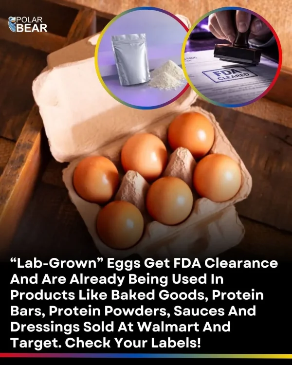 May be an image of egg yolk and text that says 'POLAR BEAR -CRAY FD FDA CLEA CLEARED ARED Lab-Grown Eggs Get FDA Clearance And Are Already Being Used In Products Like Baked Goods, Protein Bars, Protein Powders, Sauces And Dressings Sold At Walmart And Target. Check Your Labels!'