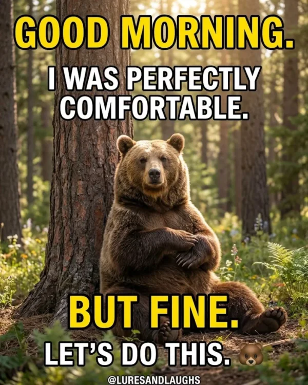 May be an image of text that says 'GOOD MORNING. I WAS PERFECTLY COMFORTABLE. BUT FINE. LET'S DO THIS. @LURESANDLAUGHS'