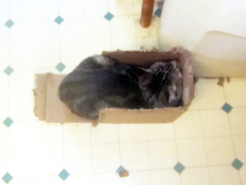10-03-25 Sam says now I fits.webp
