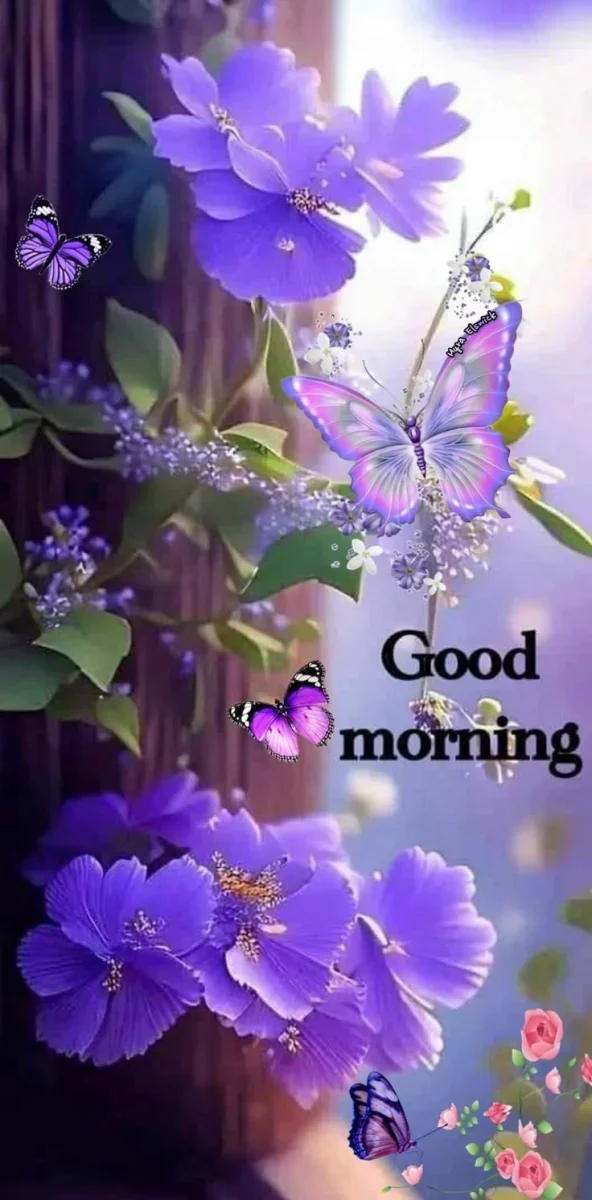 3745.webp