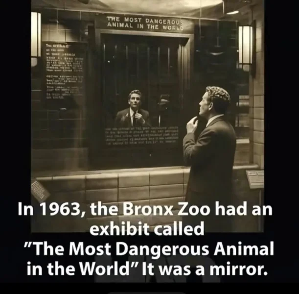 May be an image of text that says 'THEMOST EMOSTDANGEROUS MOST DANGEROUS ANIMAL ANIMALINTHEWORL IN THE WORL Twe raH ー In 1963, the Bronx Zoo had an exhibit called The Most Dangerous Animal in the World It was a mirror.'