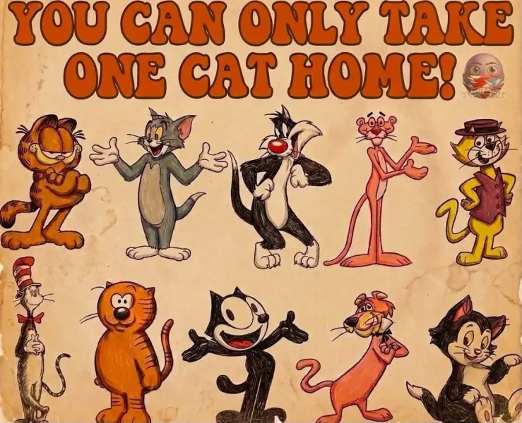 May be a doodle of cat and text that says 'YOU CAN ONLY TAKE ONE CAT ONECATHOME! HOME! し内ど や崎ん'