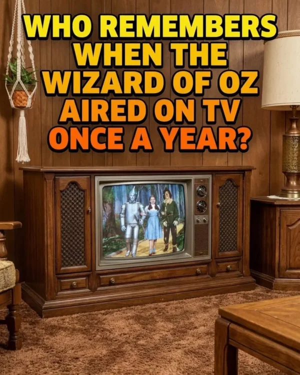 May be an image of television and text that says 'WHO REMEMBERS WHEN THE WIZARD OF oz AIRED ON TV ONCE A YEAR?'