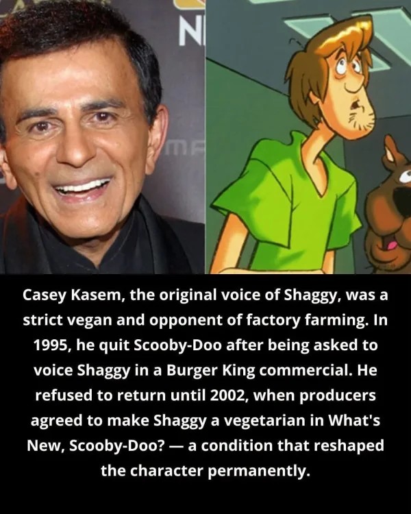 May be an image of text that says 'NI 3 Casey Kasem, the original voice of Shaggy, was a strict vegan and opponent of factory farming. In 1995, he quit Scooby-D after being asked to voice Shaggy in a Burger King commercial. He refused to return until 2002, when producers agreed to make Shaggy a vegetarian in What's New, New,Scooby-Doo?- Scooby-D condition that reshaped the character permanently.'