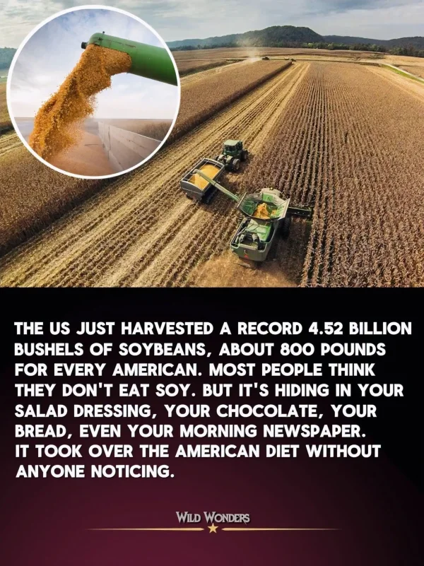 May be an image of combine and text that says 'THE US JUST HARVESTED A RECORD 4.52 BILLION BUSHELS OF SOYBEANS, 800 POUNDS FOR EVERY AMERICAN. MOST PEOPLE THINK THEY DON'T EAT SOY. BUT IT'S HIDING IN YOUR SALAD DRESSING YOUR CHOCOLATE, YOUR BREAD, EVEN YOUR MORNING NEWSPAPER. IT K OVER THE AMERICAN DIET WITHOUT ANYONE NOTICING. WILD WONDERS 一'