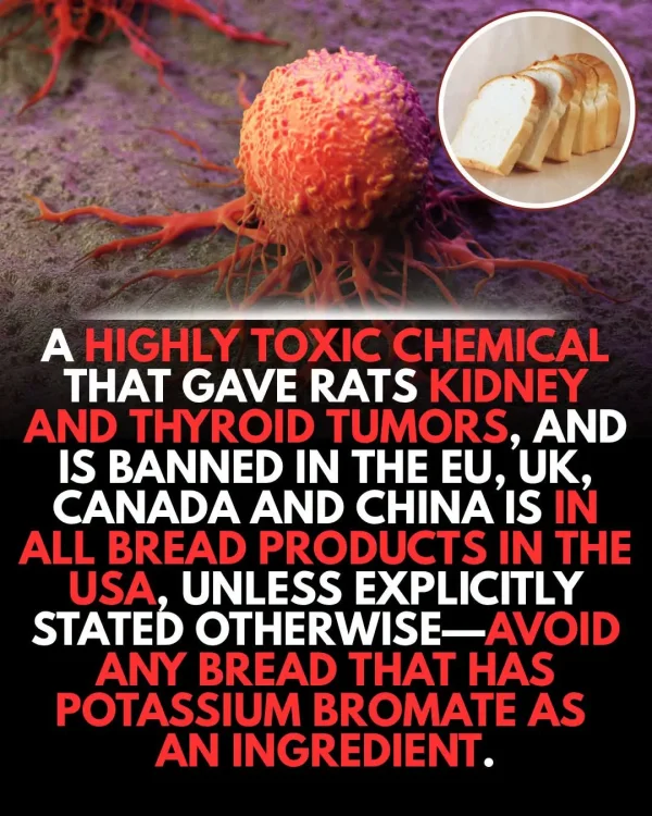 May be an image of text that says 'A HIGHLY TOXIC CHEMICAL THAT GAVE RATS KIDNEY AND THYROID TUMORS, AND IS BANNED IN H EU, UK, CANADA AND CHINA IS IN ALL BREAD PRODUCTS IN THE USA UNLESS EXPLICITLY STATED OTHERWISE- AVOID ANY BREAD THAT HAS POTASSIUM BROMATE AS AN INGREDIENT.'