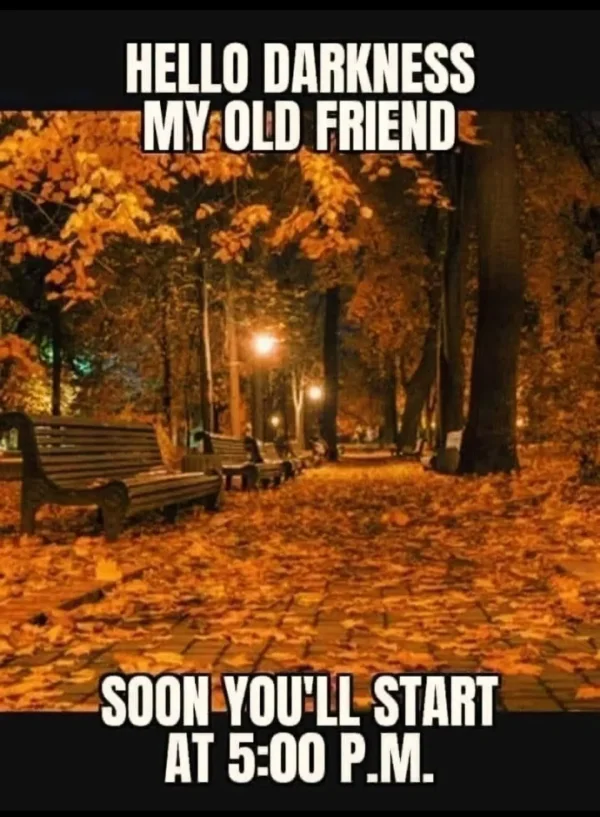 May be an image of text