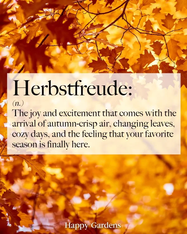 word of the day…