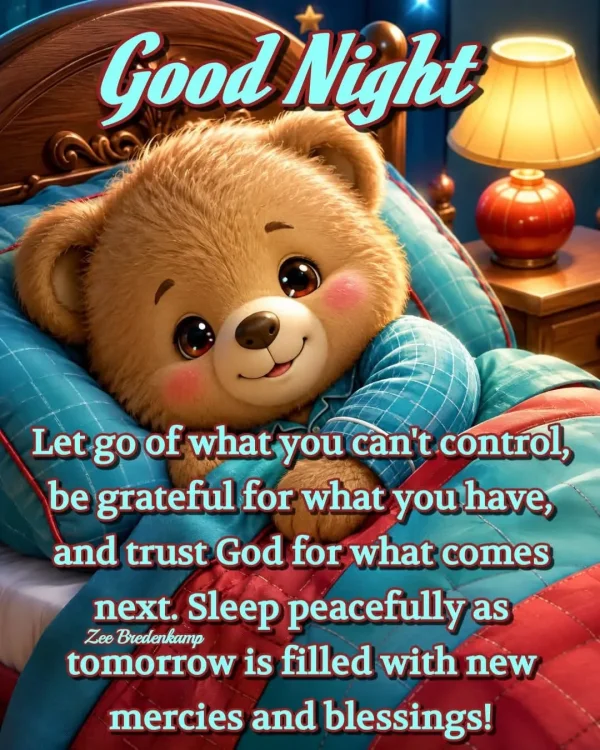 May be an image of text that says 'Good Night Let go of what you can't control, be grateful for what you have, and trust God for what comes next. Sleep peacefully as Zee Bredenkamp tomorrow is filled with new mercies and blessings!'