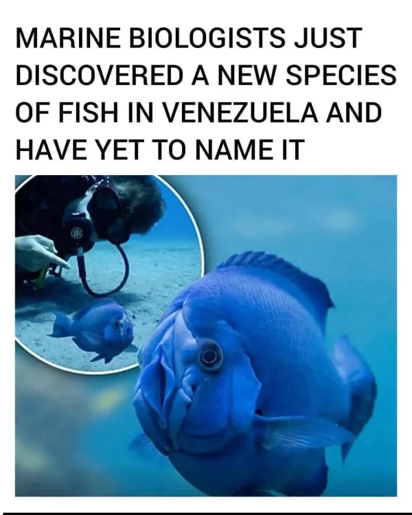 May be an image of text