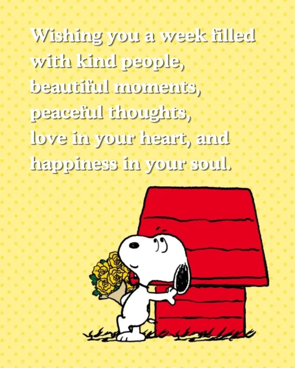 May be an image of text that says 'Wishing you a week filled with kind people, beautiful moments, peaceful thoughts, love in your heart, and happiness in your soul. 보생대'