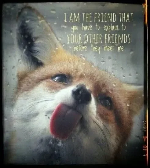 May be an image of text