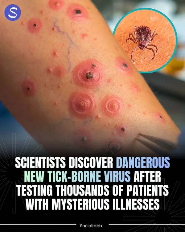 May be an image of tick and text May be an image of tick and text