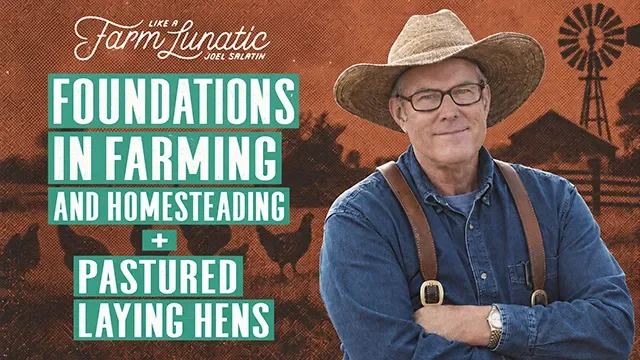 Foundations in Farming and Homesteading +...