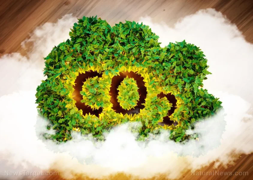 Temperature data witchcraft: Globalists who...