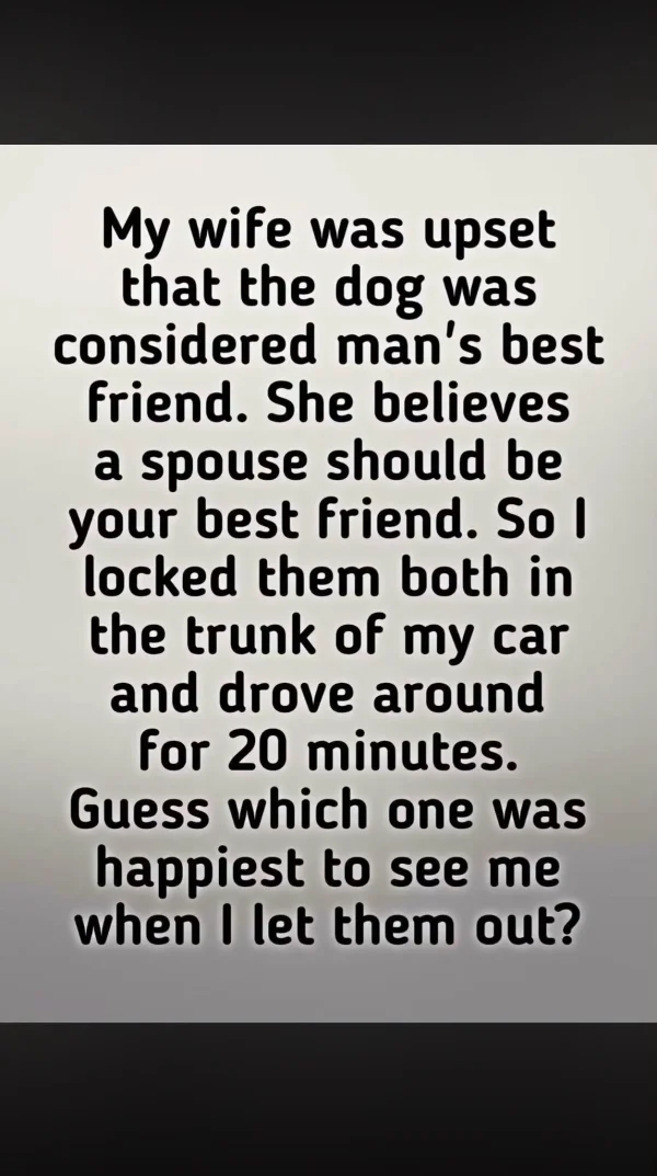May be an image of dog and text that says 'My wife was upset that the dog was considered man's best friend. She believes a spouse should be your best friend. So I locked them both in the trunk of my car and drove around for 20 minutes. Guess which one was happiest to see me when I let them out?'