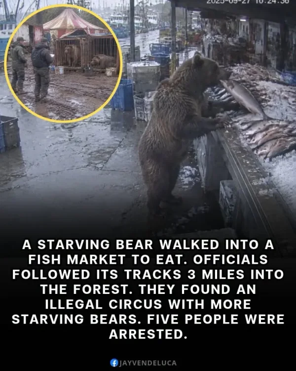 May be an image of text