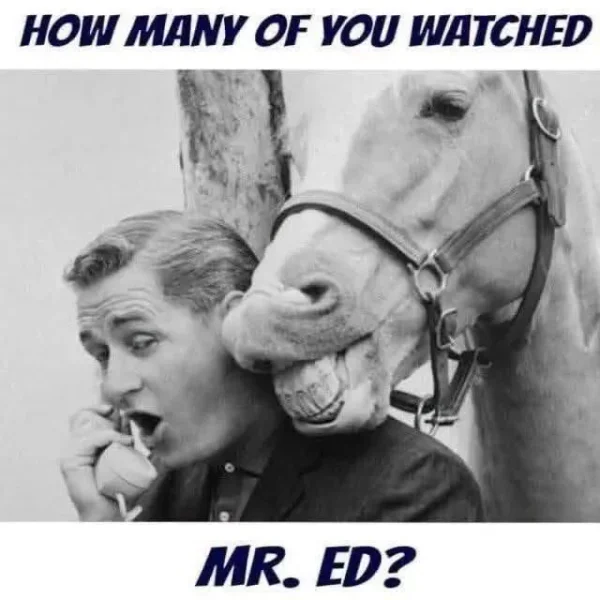 May be an image of text that says 'HOW MANY OF YOU WATCHED MR. MR.ED? ED?'