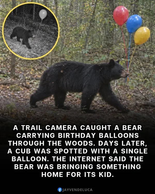 May be an image of text