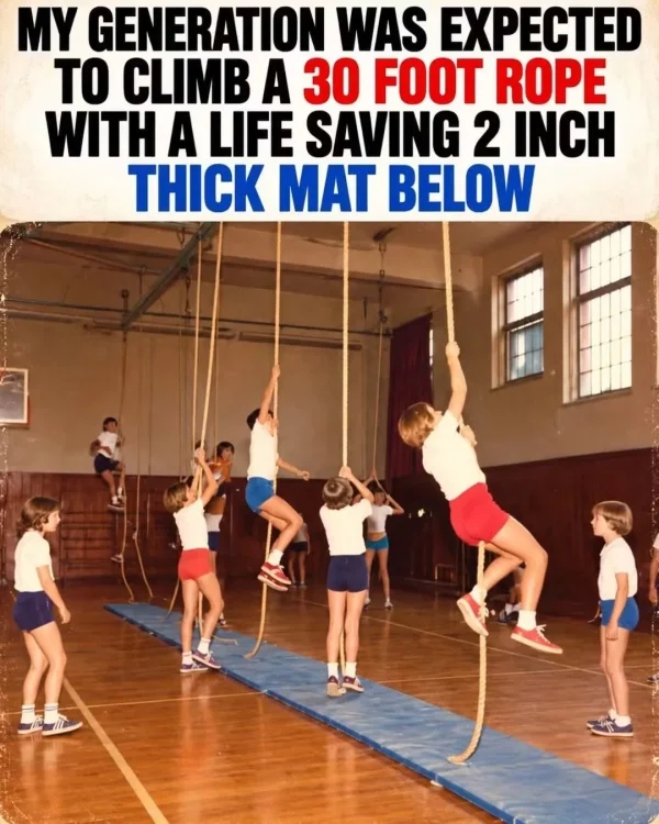 May be an image of climbing, trampoline and text
