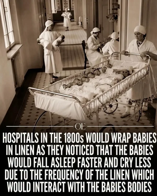 May be an image of hospital and text