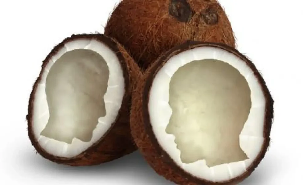 Fcoconut-brain-alzheimers-1786344665-uQgk-full__1_.webp