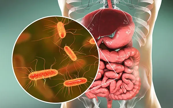 Six healthy habits linked to sharply lower risk...