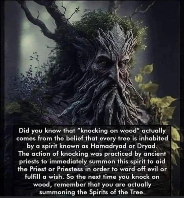 May be an image of tree and text
