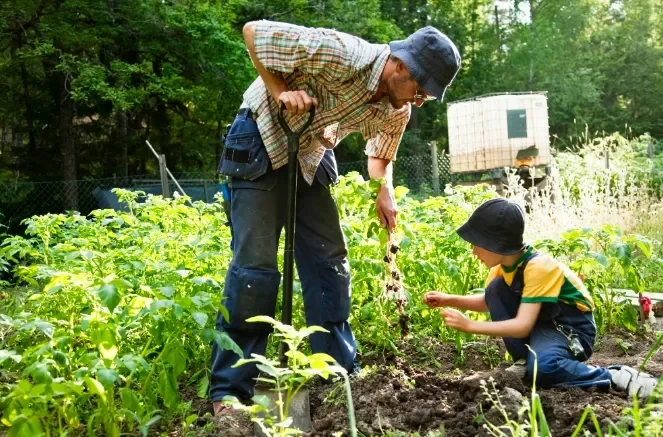 2Fuploads%2Fsites%2F91%2F2026%2F09%2FHomeSteading1.webp