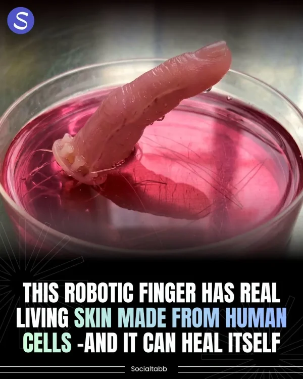 May be an image of text May be an image of text