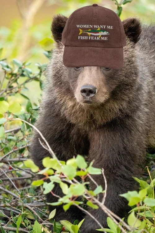 Fishing bear.webp