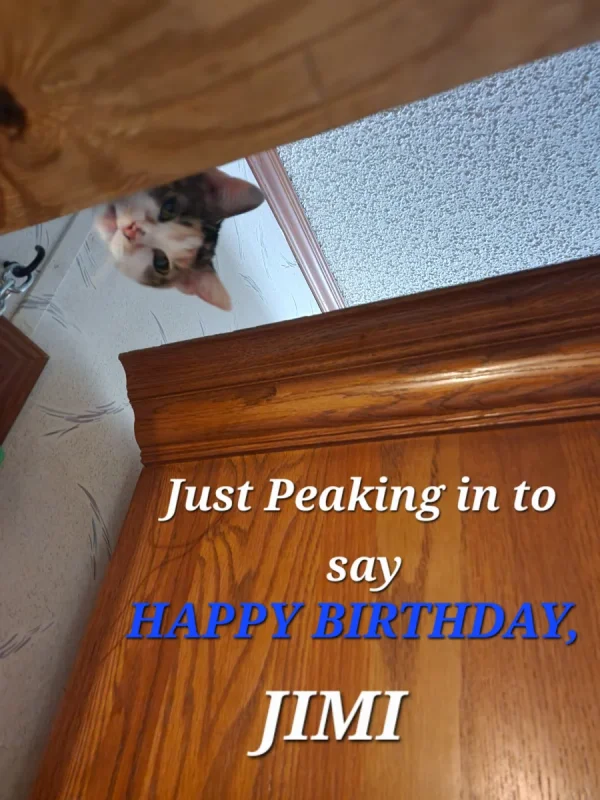 20260929_125644(1).webp