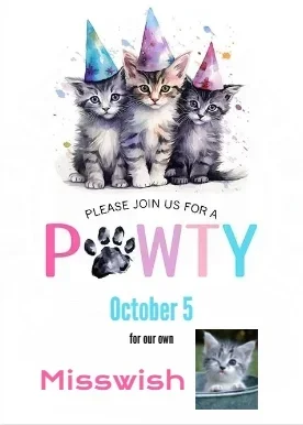 Misswish pawty 2026.webp Misswish pawty 2026.webp
