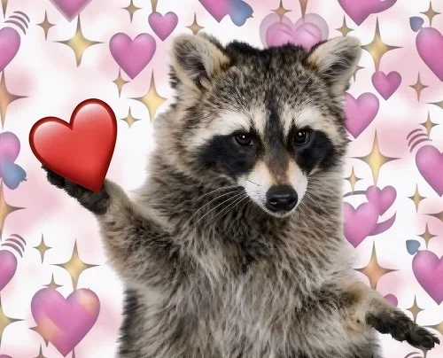 FFFF Raccoon.webp FFFF Raccoon.webp