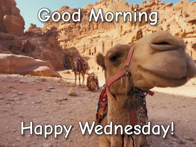 xlOD3J7DvDuAG-bPpWqO0gyl1NwgBWmdAvBdxvDc9E4cQ&s=10.webp